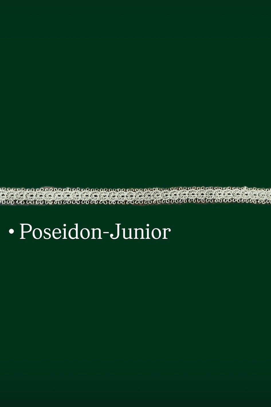 Poseidon-Junior Choker